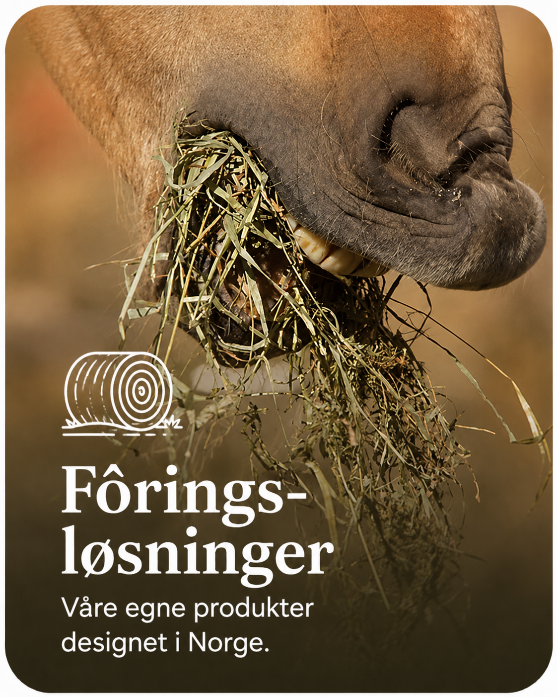 Foringsløsninger