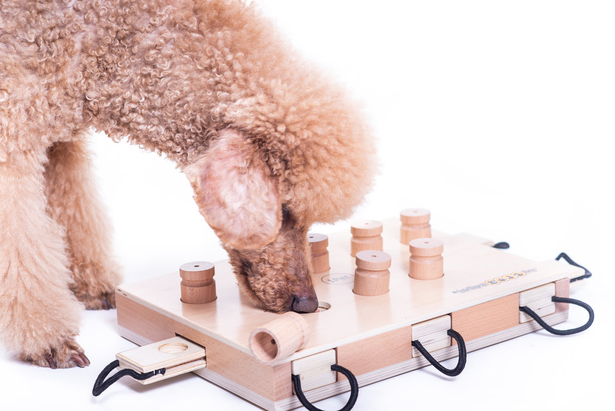 iPet - Smart Dog Laptop