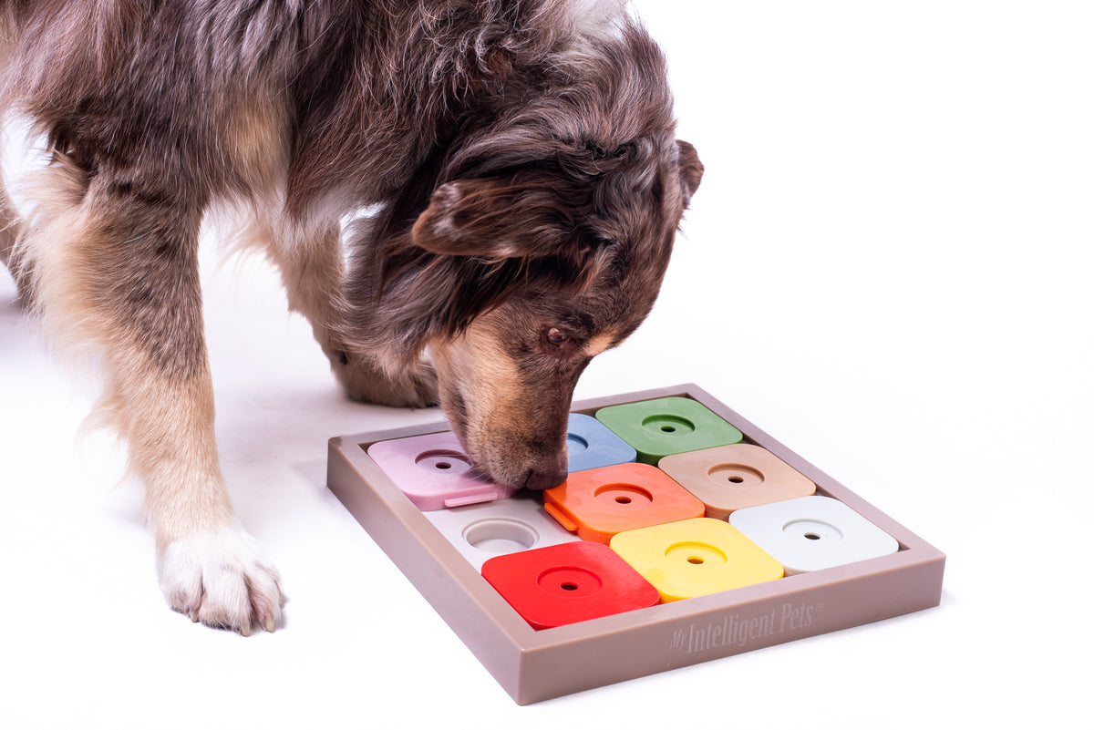Dog Sudoku Medium Expert color